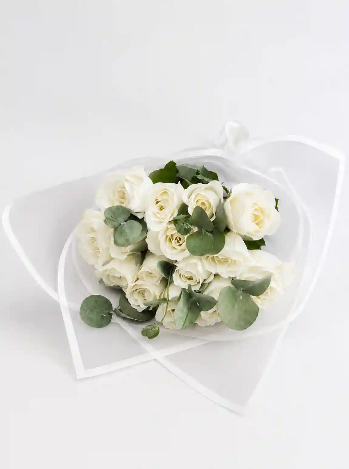 Nevia