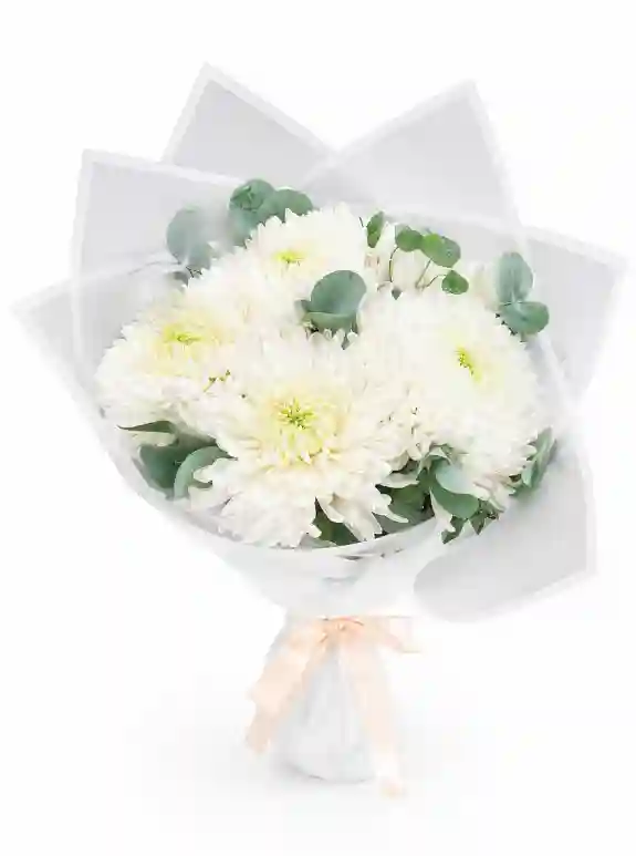 White Muse