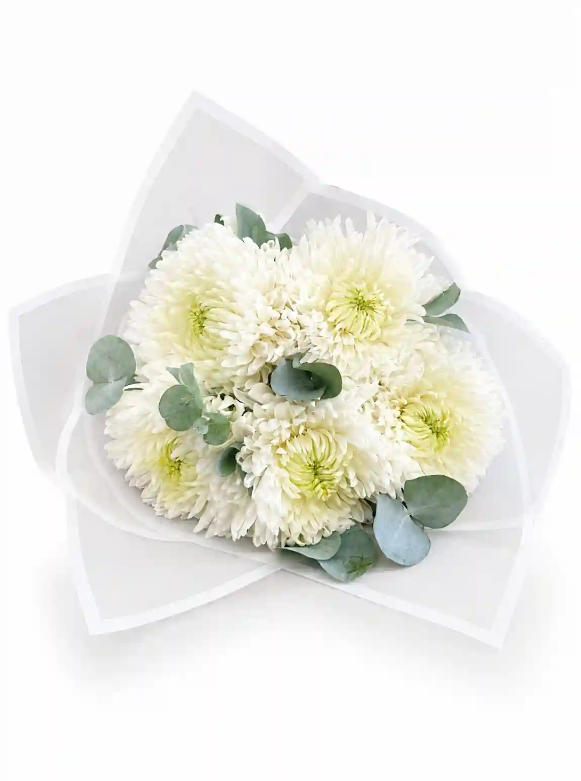 White Muse